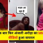 Anjali Arora Viral Video: एक बार फिर अंजलि अरोड़ा का MMS वीडियो हुआ वायरल, फैंस हुए हैरान